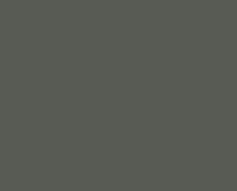 241A Dark woods