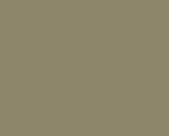 242A Goldcrest