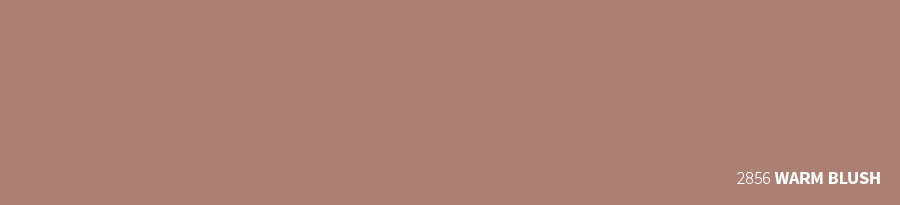 2856 WARM BLUSH